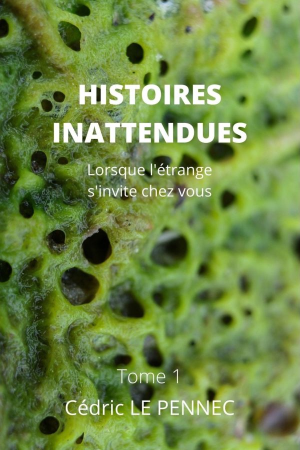 HISTOIRES INATTENDUES Tome 1